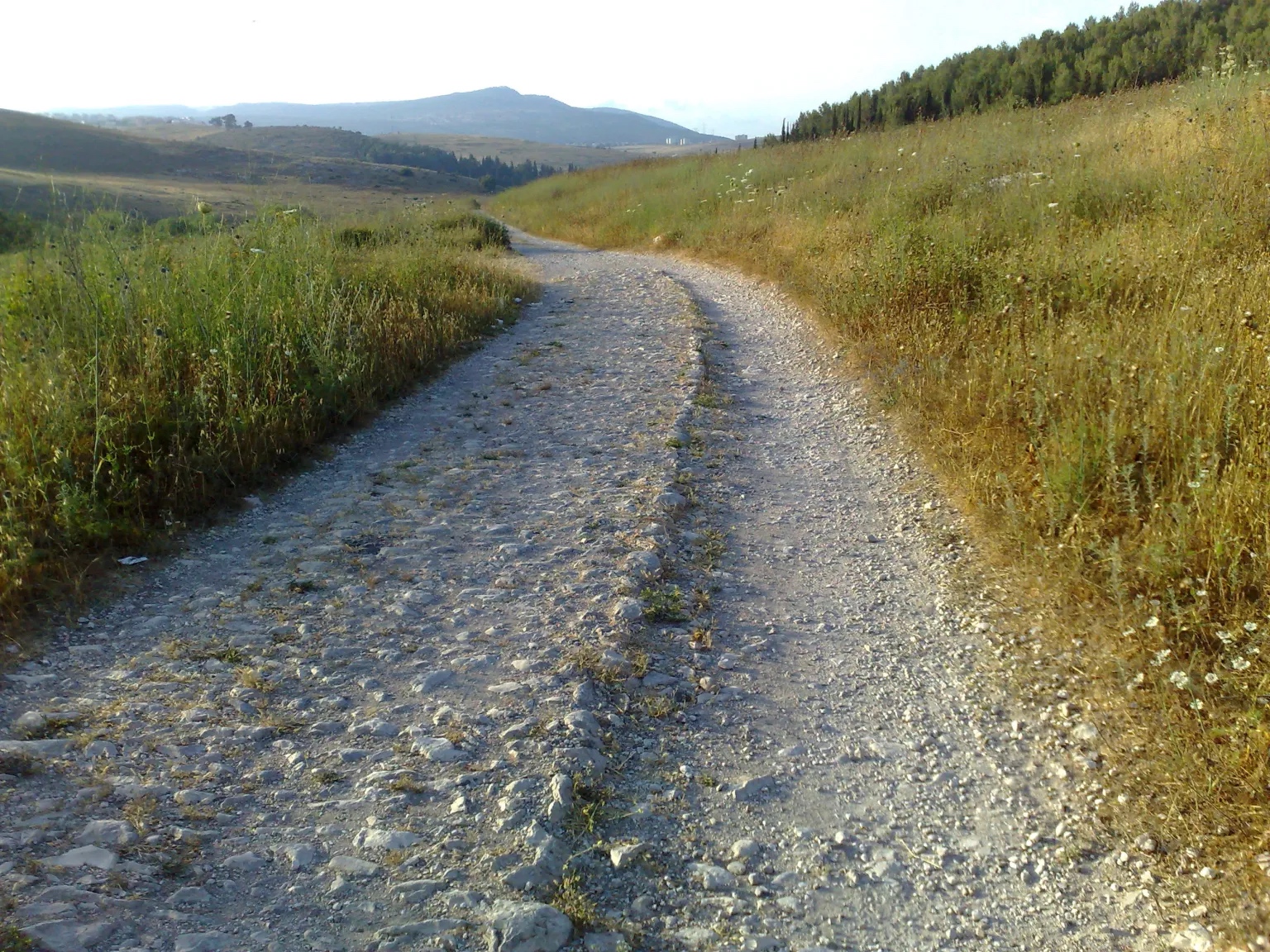 上图：罗马帝国修筑的通往耶路撒冷的道路，沿途有许多路碑。